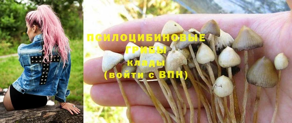 а пвп мука Армянск