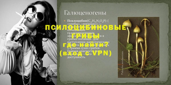 прущая мука Арсеньев